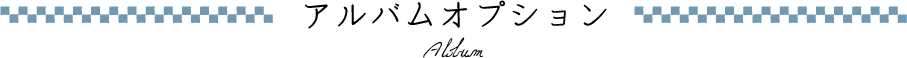アルバムオプション