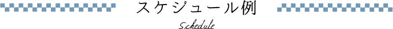スケジュール